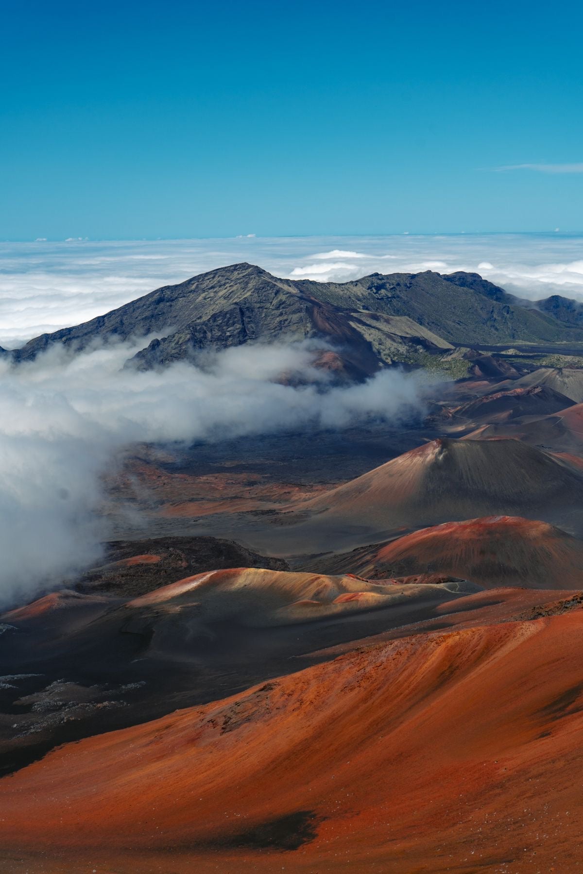Visite du Parc National Haleakalā